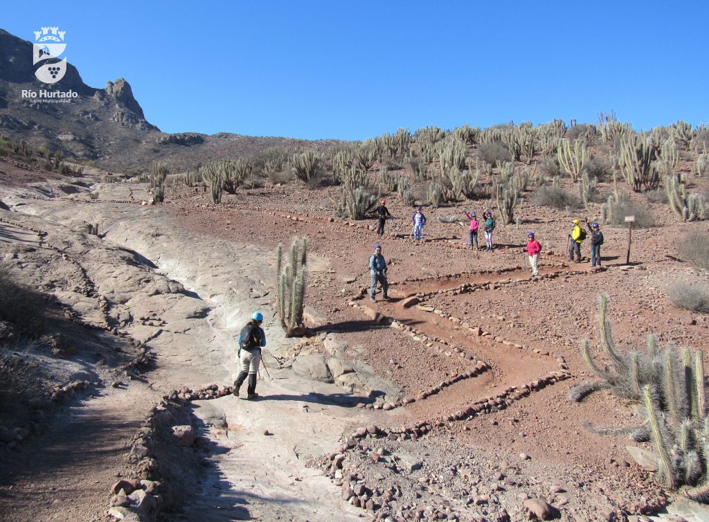 FOTOS C TINAJAS_Mesa de trabajo 1