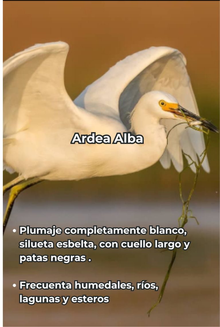 Cengtro de difusion pagtrimonial (17)