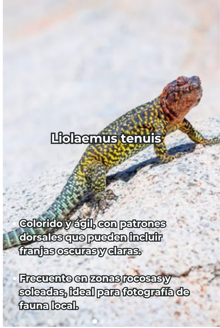 Cengtro de difusion pagtrimonial (35)