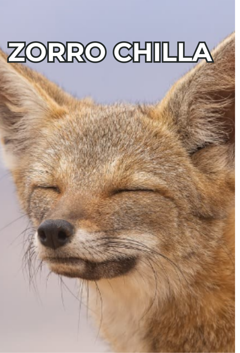 Cengtro de difusion pagtrimonial (36)